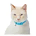 Whisker City® Easy Release Kitten & Cat Collar image thumbnail 2