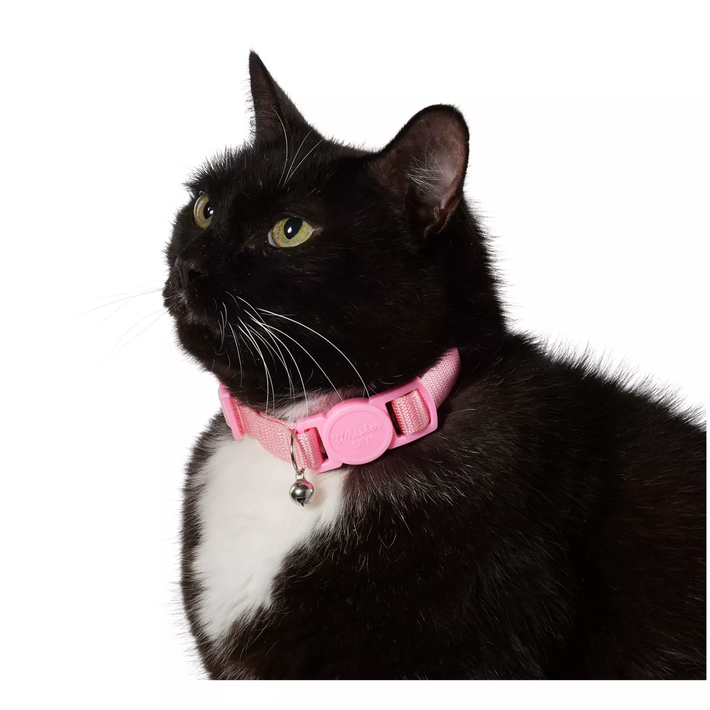 Good2go high quality cat collar