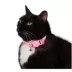 Whisker City® Easy Release Kitten & Cat Collar image thumbnail 2