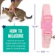 Product Whisker City® Easy Release Kitten & Cat Collar