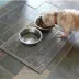 Bungalow Flooring Personalized WaterHog Paws & Bones Dog Bowl Placemat image thumbnail 3