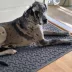 Bungalow Flooring WaterHog Dog Bone Runner image thumbnail 2