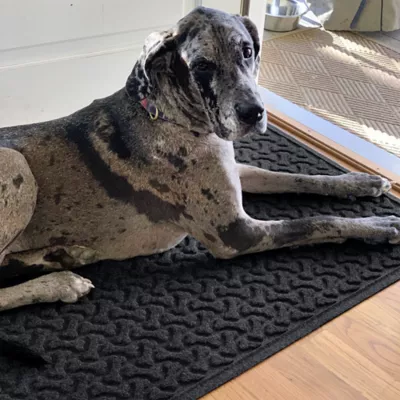 Bungalow Flooring WaterHog Dog Bone Runner - Image 2