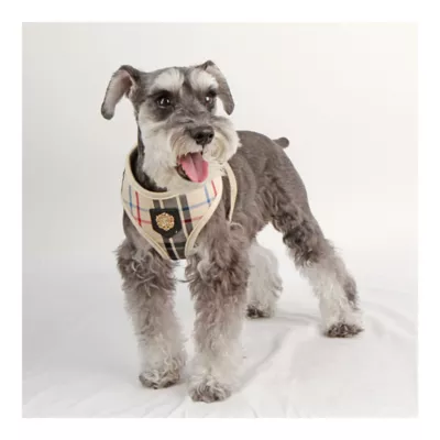 Puppia® Junior Over-the-Head Dog Harness - Image 3