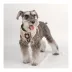 Puppia® Junior Over-the-Head Dog Harness image thumbnail 3
