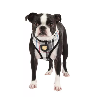 Puppia® Junior Over-the-Head Dog Harness - Image 3