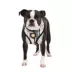 Puppia® Junior Over-the-Head Dog Harness image thumbnail 3