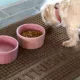 Product Bungalow Flooring Personalized WaterHog Squares Dog & Cat Bowl Placemat