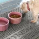 Product Bungalow Flooring Personalized WaterHog Squares Dog & Cat Bowl Placemat