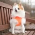Puppia® Neon Soft Over-the-Head Dog Harness image thumbnail 3