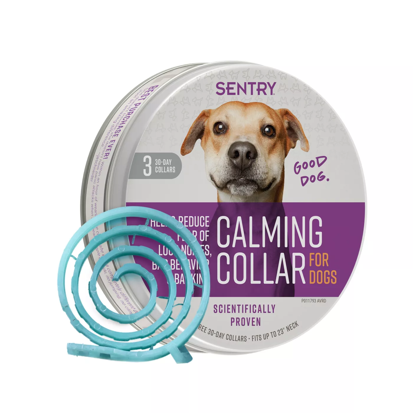 Sentry fashion dog collar