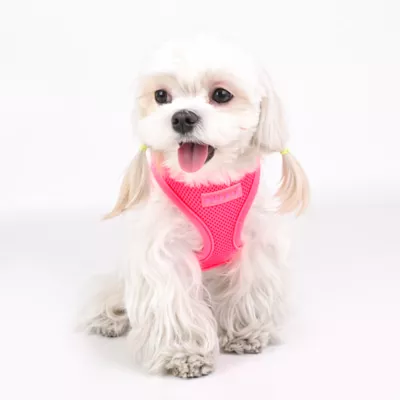Product Puppia® Neon Soft Over-the-Head Dog Harness