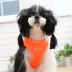 Puppia® Neon Soft Step-In Vest Dog Harness image thumbnail 4
