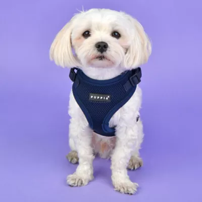 Puppia® RiteFit Over-the-Head Dog Harness - Image 3