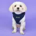 Puppia® RiteFit Over-the-Head Dog Harness image thumbnail 3