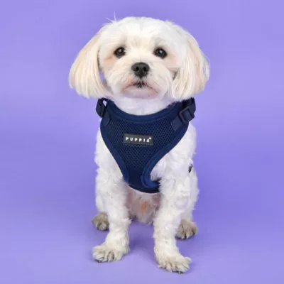 Product Puppia® RiteFit Over-the-Head Dog Harness