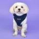 Product Puppia® RiteFit Over-the-Head Dog Harness