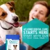 OraVet Dog Dental Hygiene Chews - Oral Care with Delmoipinol, Blue Pouch, Small Dogs 10-24 lbs image thumbnail 6