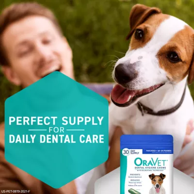 Oravet dental hygiene chews best sale