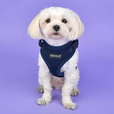 Puppia® RiteFit Over-the-Head Dog Harness - Image 3