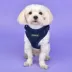 Puppia® RiteFit Over-the-Head Dog Harness image thumbnail 3