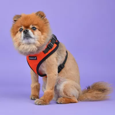 Puppia® RiteFit Over-the-Head Dog Harness - Image 3