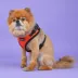Puppia® RiteFit Over-the-Head Dog Harness image thumbnail 3