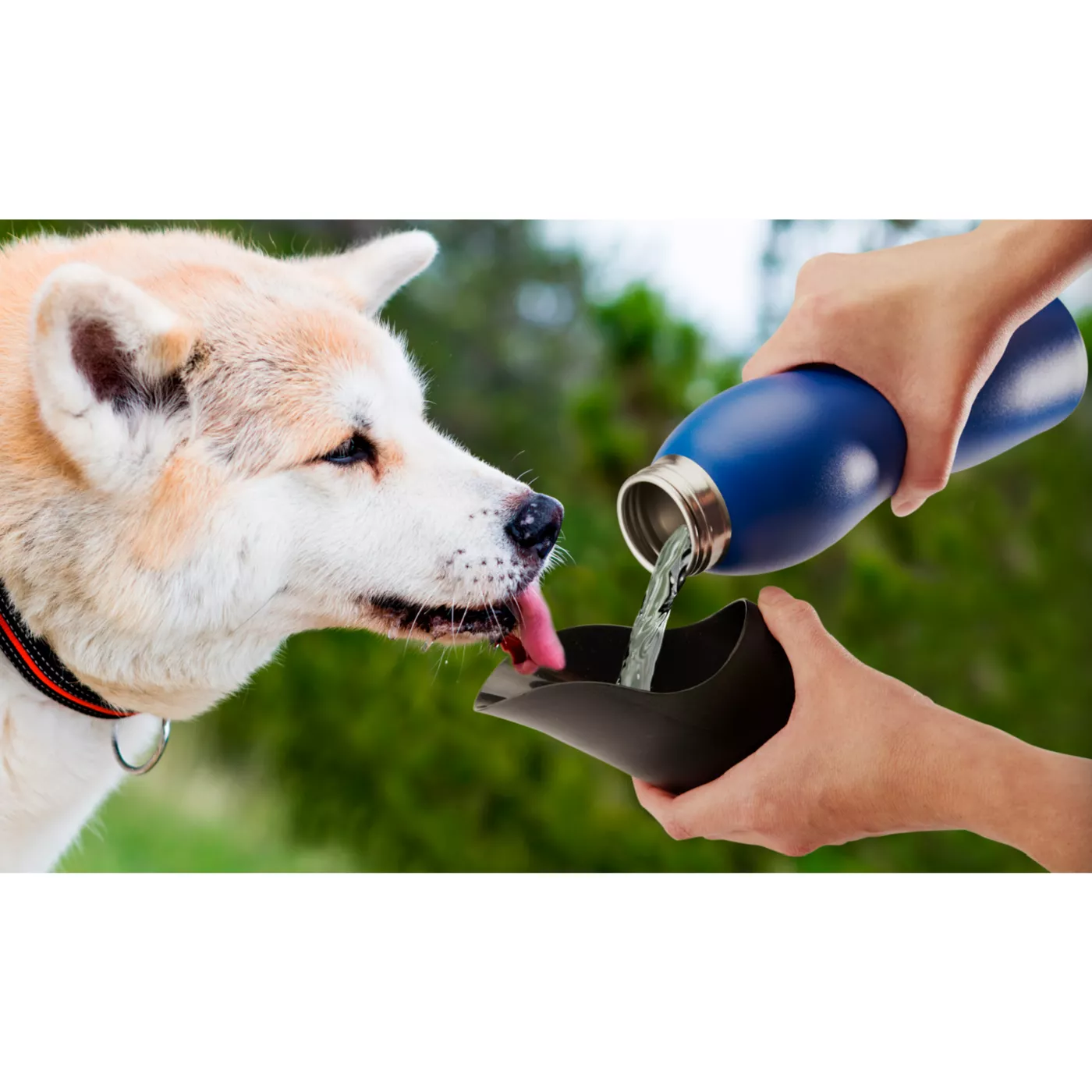 Mobile Dog Gear Dog Water Bowl