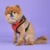Puppia® RiteFit Over-the-Head Dog Harness image thumbnail 3