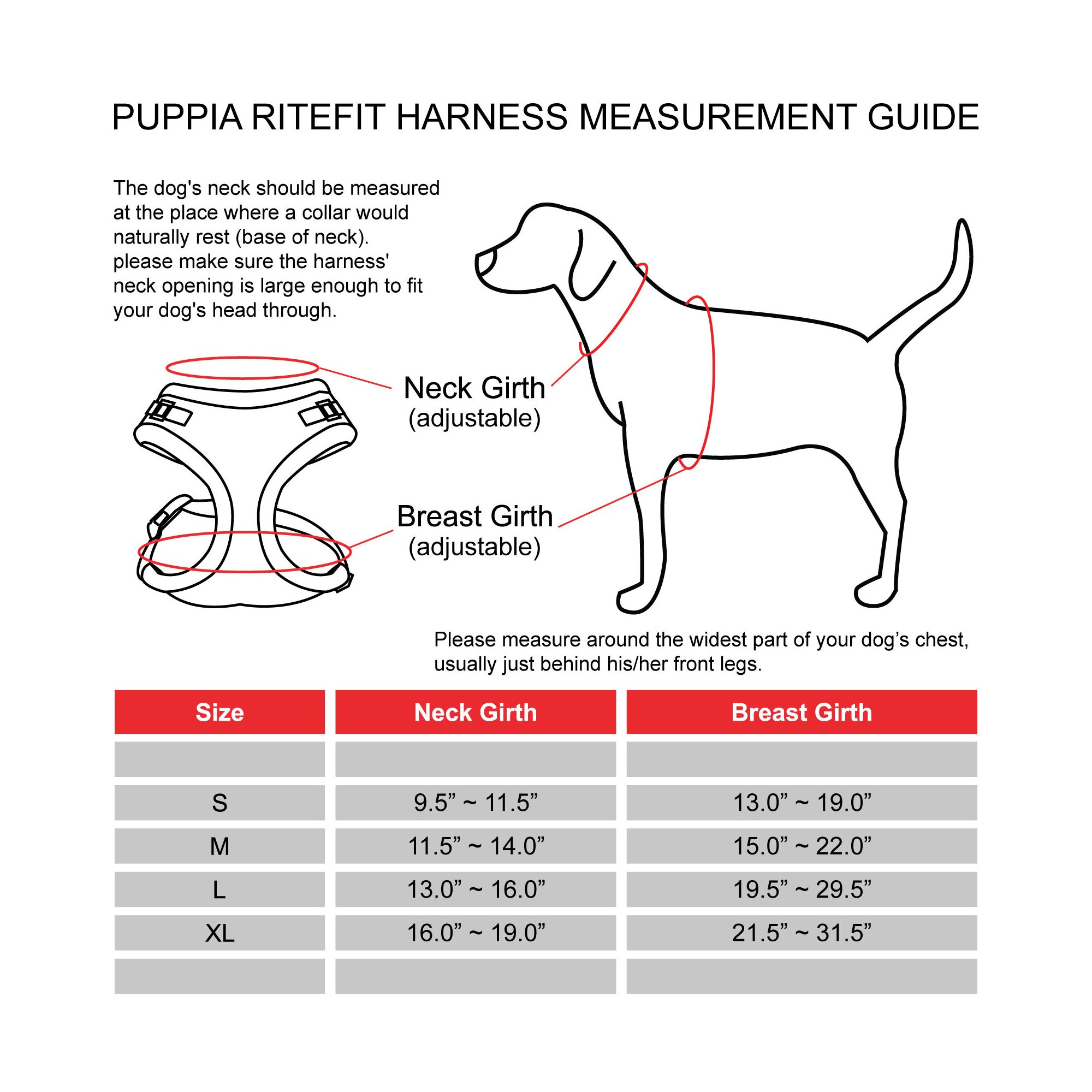 how do you measure a dogs head