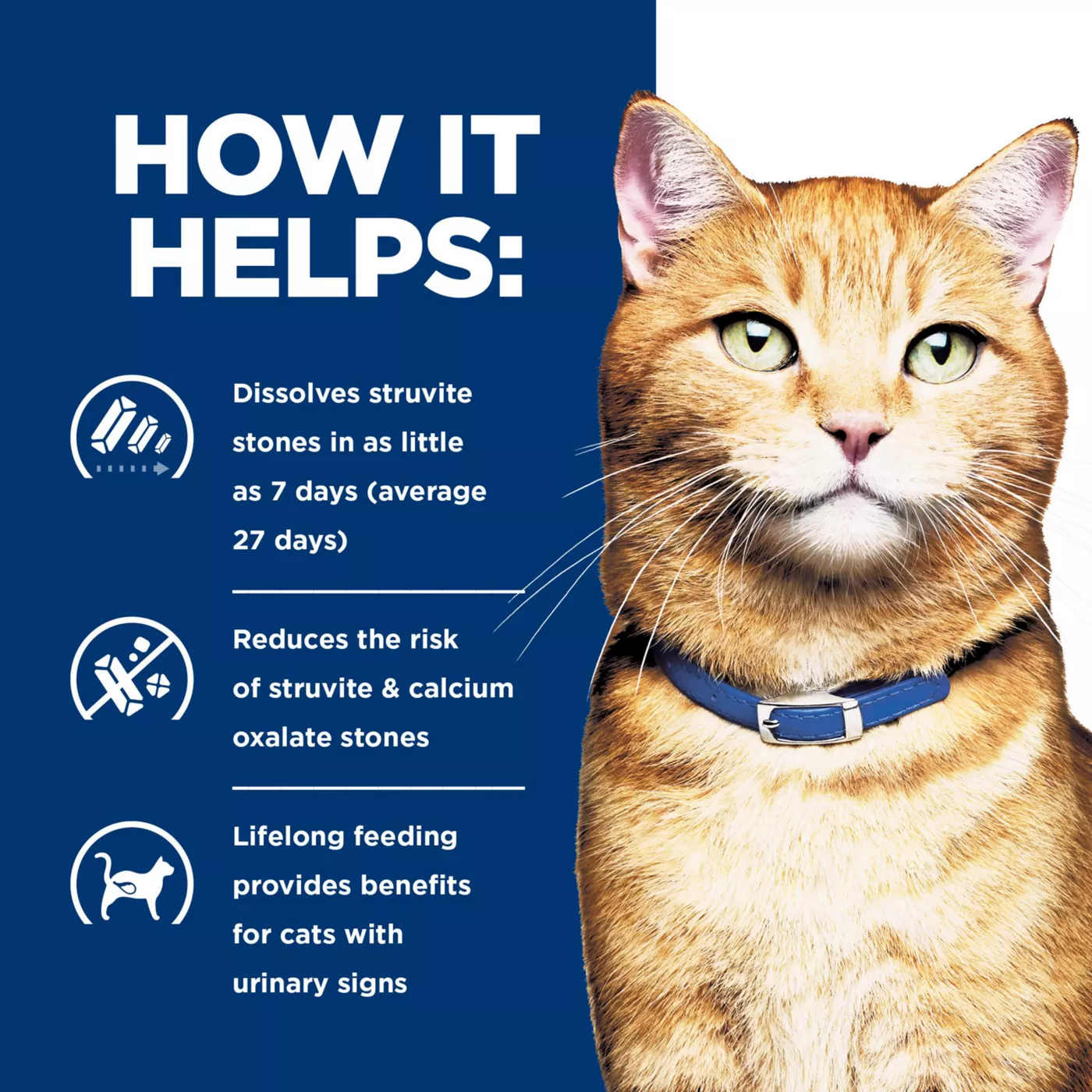 Hills urinary care cat food wet best sale