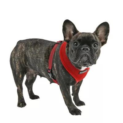 Puppia® Soft Adjustable Over-the-Head Mesh Dog Harness - Image 3