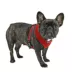 Puppia® Soft Adjustable Over-the-Head Mesh Dog Harness image thumbnail 3