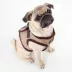Puppia® Step-In Soft Vest Dog Harness image thumbnail 4