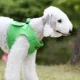 Product Puppia® Step-In Soft Vest Dog Harness