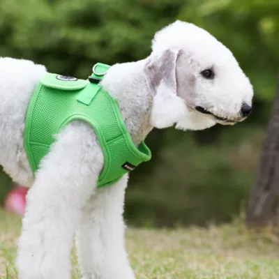 Puppia® Step-In Soft Vest Dog Harness - Image 4