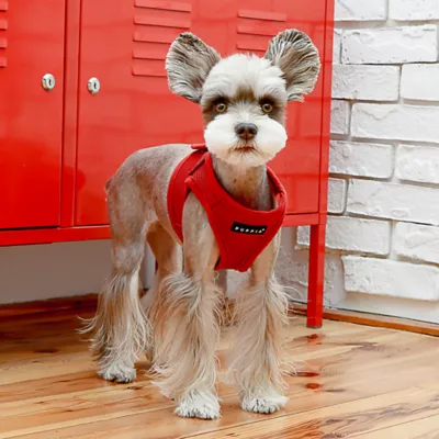 Puppia® Step-In Soft Vest Dog Harness - Image 4