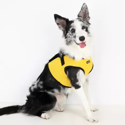 Puppia® Step-In Soft Vest Dog Harness - Image 4