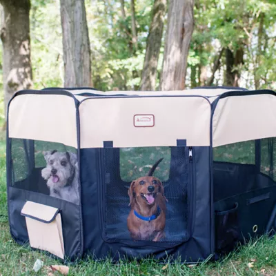 Product Armarkat Smart Portable Foldable Pet Playpen & Carrier Bag for Dog or Cat - 49 in x 49 in x 26 in