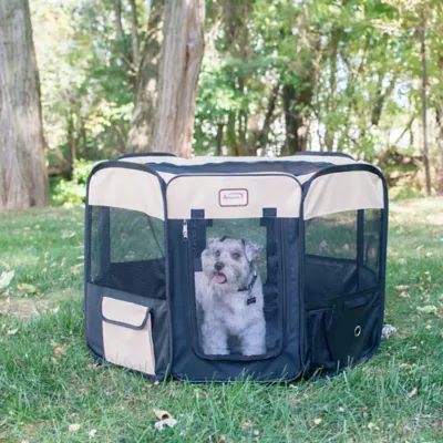 Armarkat Smart Portable Foldable Pet Playpen Carrier Bag for Dog or Cat 36 in x 36 in x 24 in