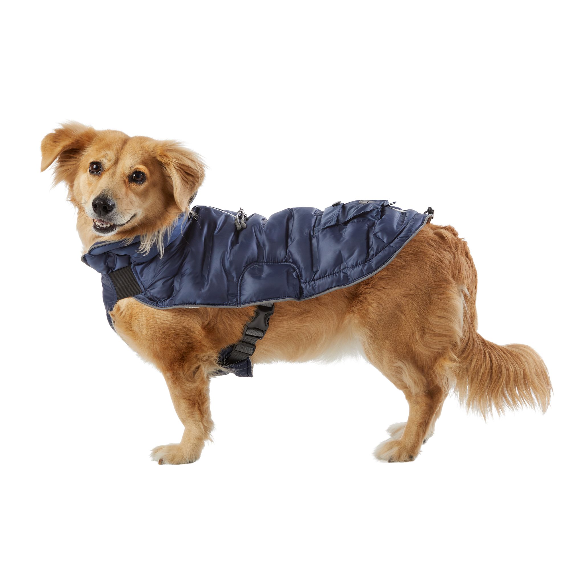 Petsmart Winter Coats For Dogs Tradingbasis