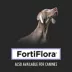 Purina Pro Plan Veterinary Supplements Feline Probiotic FortiFlora Powdered Cat Supplement image thumbnail 4