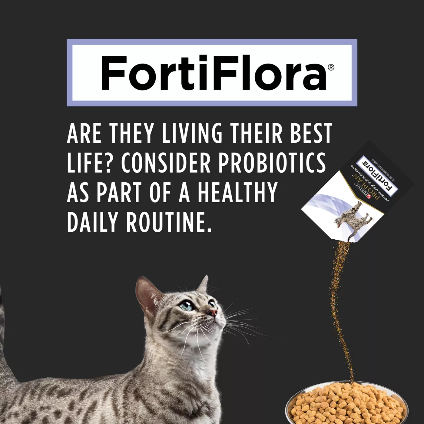 Fortiflora for cats constipation hotsell