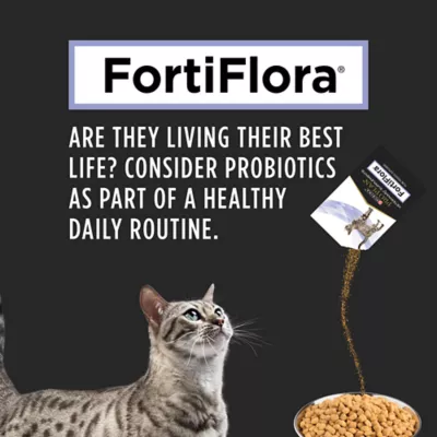 Product Purina® Pro Plan® Veterinary FortiFlora Probiotic Cat Supplement