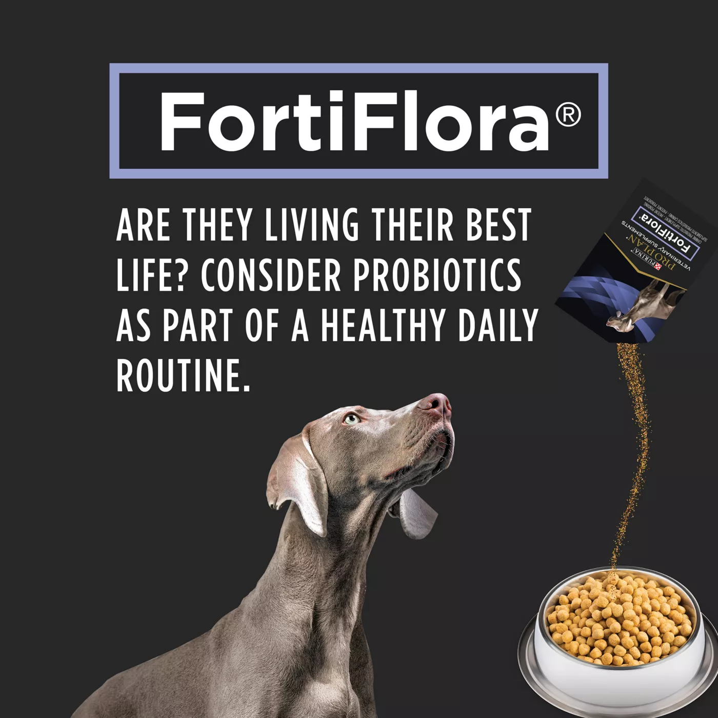 Purina Pro Plan Veterinary FortiFlora Probiotic Dog Supplement