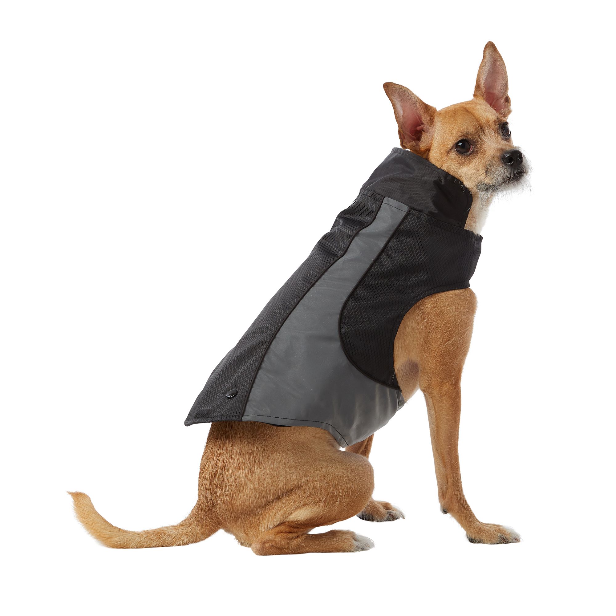 DOGWEARトップ3 valie.sports.coocan.jp