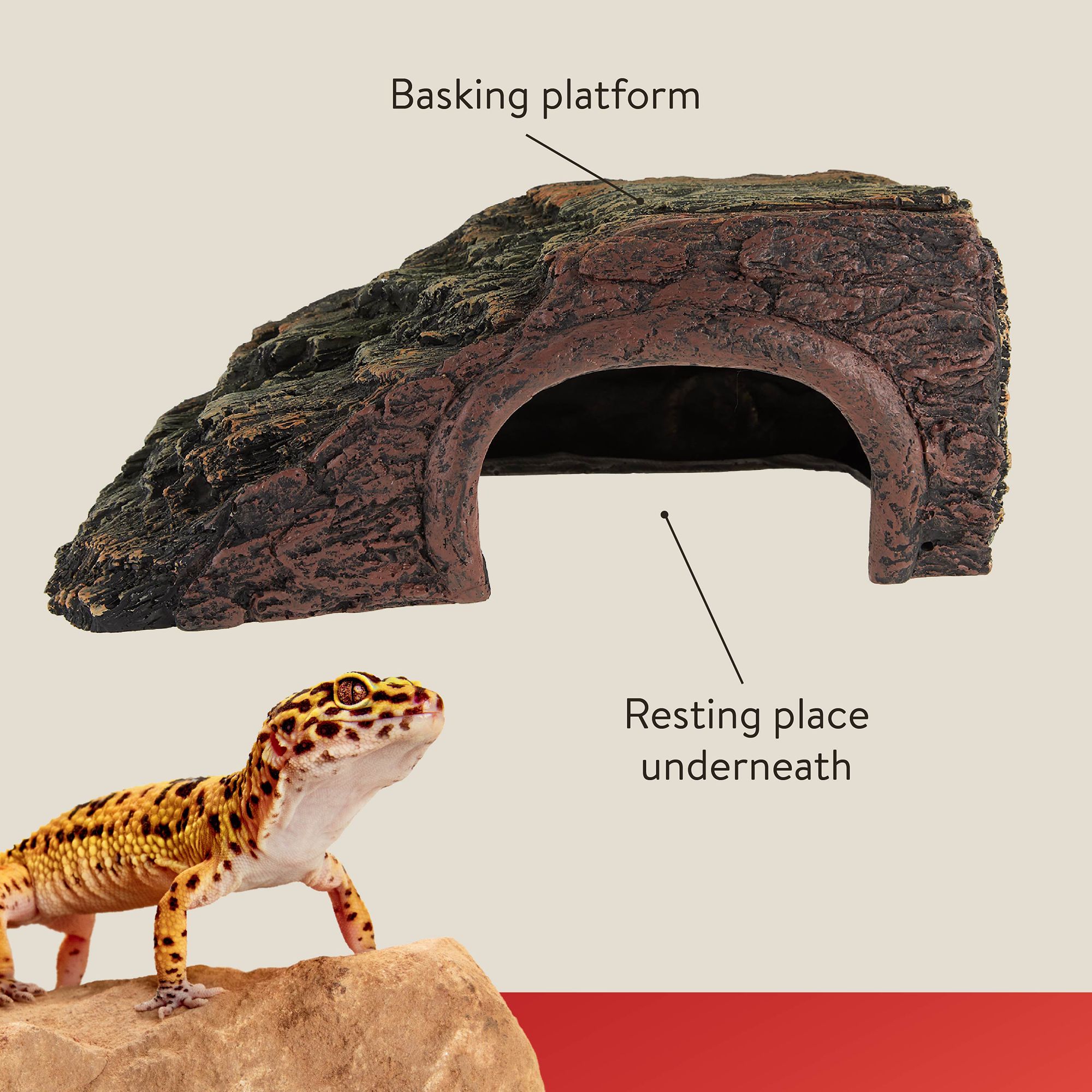 Thrive Forest Wood Reptile Hide - Reptile Hide Decor - thumbnail 3