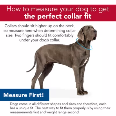 Product Coastal Pet Products Personalized Secure Away Adjustable Flea & Tick Collar Protector