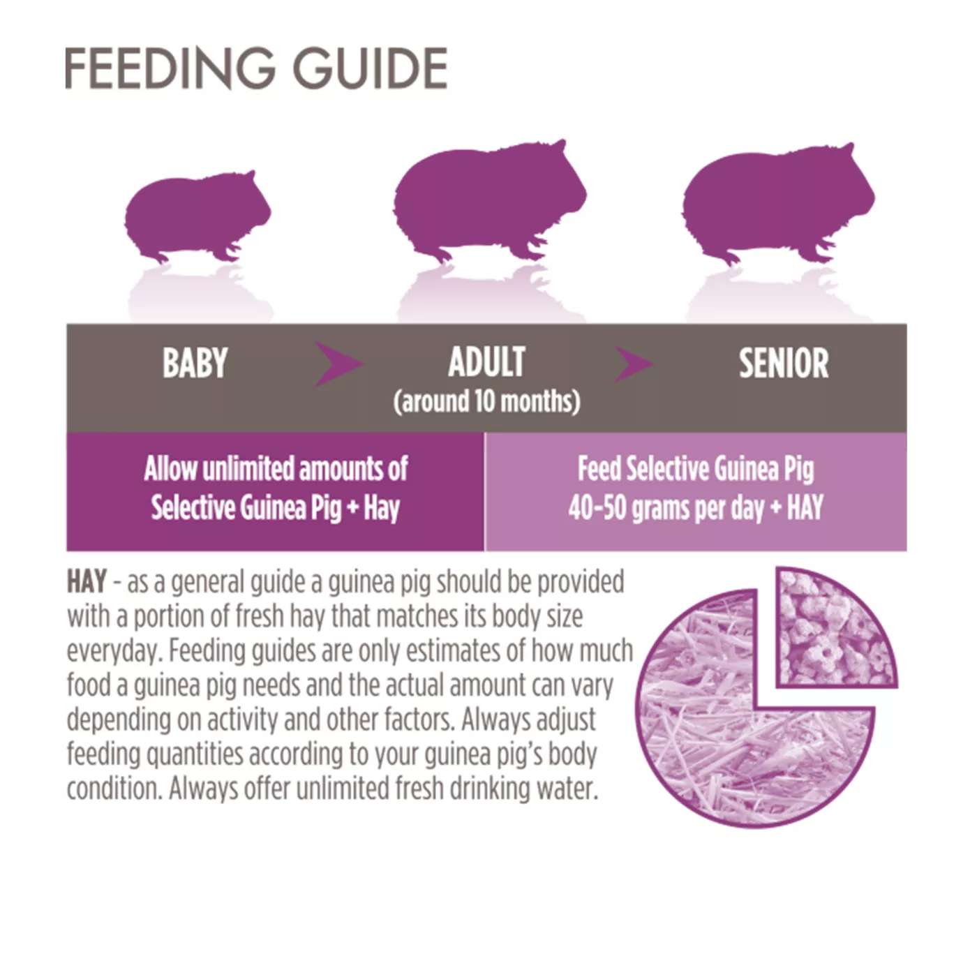 Science Selective Guinea Pig Food