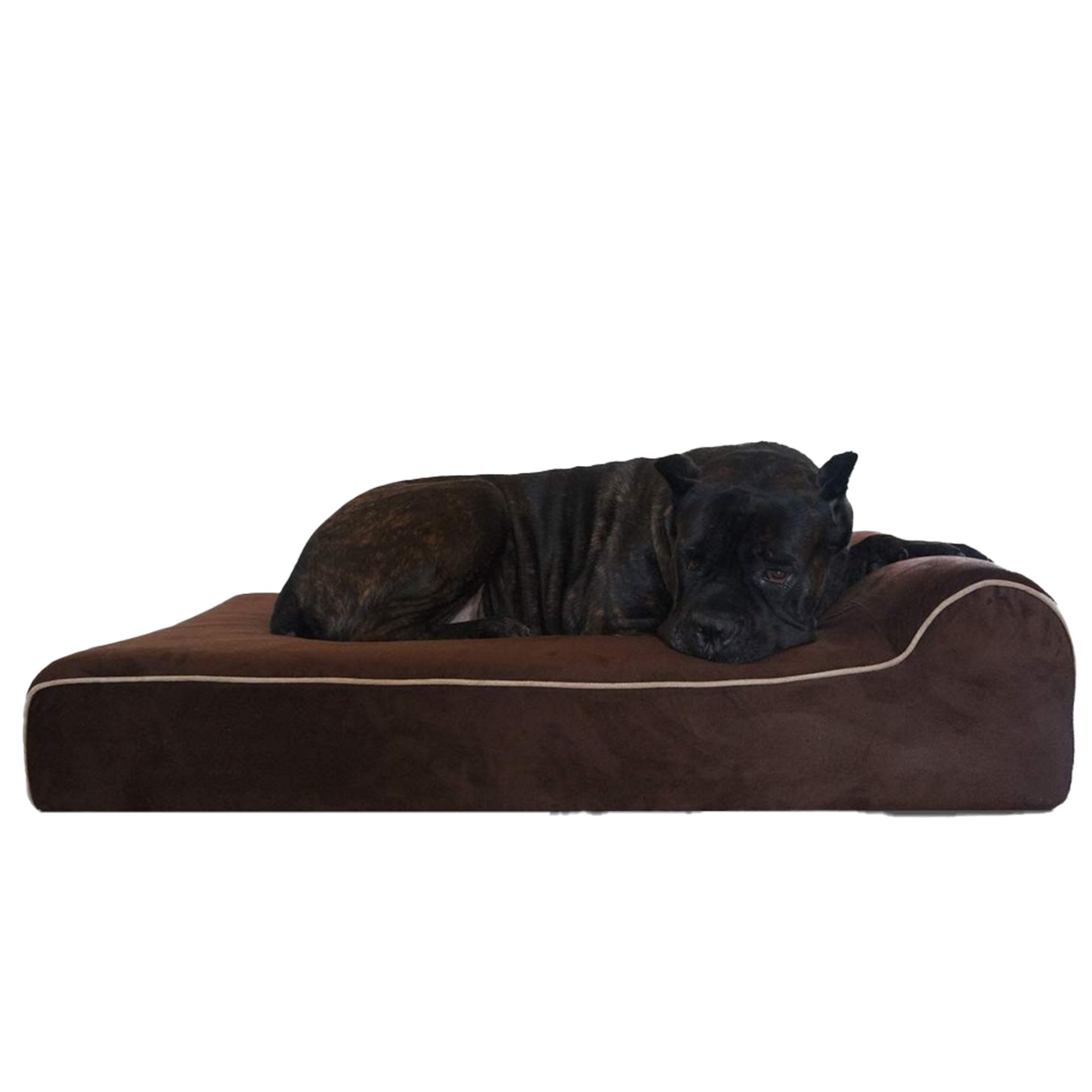 Petsmart dog beds outlet for large dogs